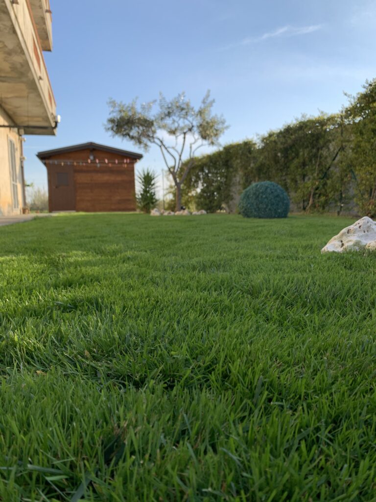 Forteprato Bottos: Le Sementi per Prato Rustiche a Basso Consumo Idrico