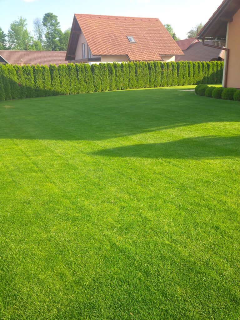 Sementi Bottos Olimpia: Le Sementi per Prato ideali per Zone Soleggiate e in Ombra