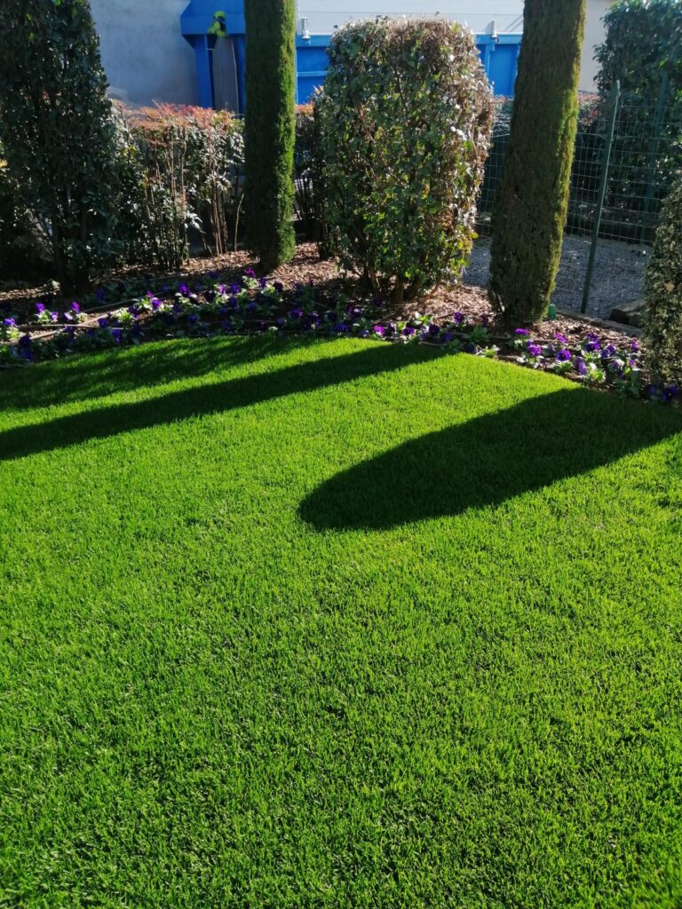 Royal Blue Plus: Le Sementi per Prato d'&Eacute;lite ad Alta Resistenza