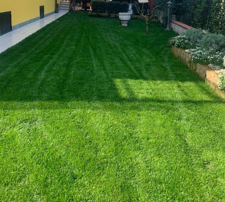 Royal Golf Plus: Le Sementi per Prato a Foglia Fine con Concia Naturale