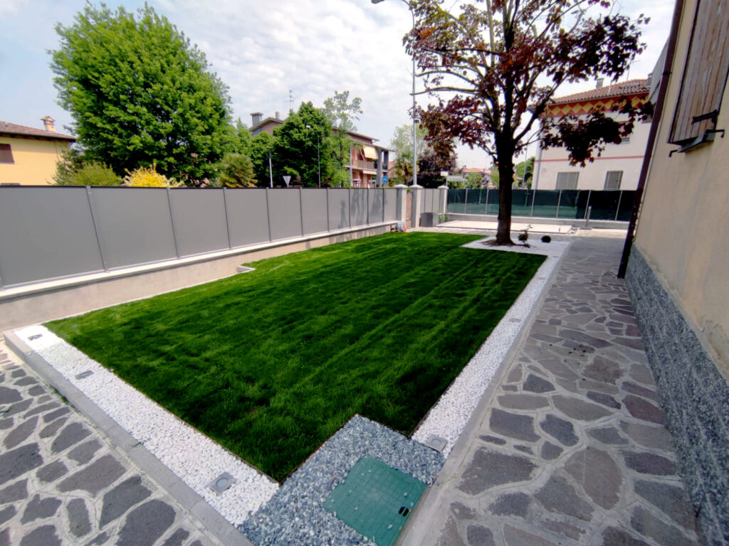 Royal Shade Plus: Le Sementi per Prato Ideali per Zone in Ombra