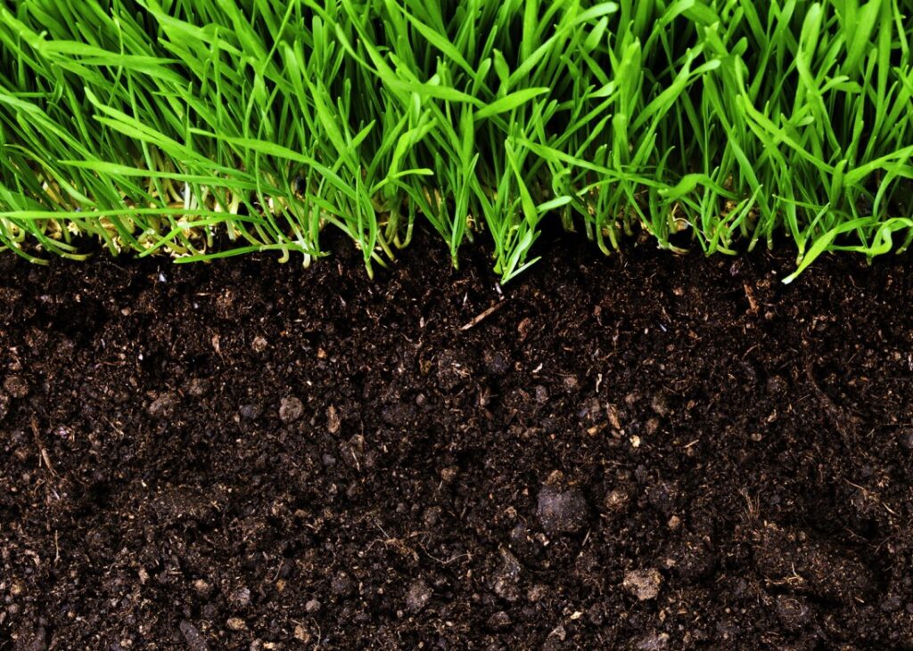 Substrato fertile per la crescita delle radici del tappeto erboso