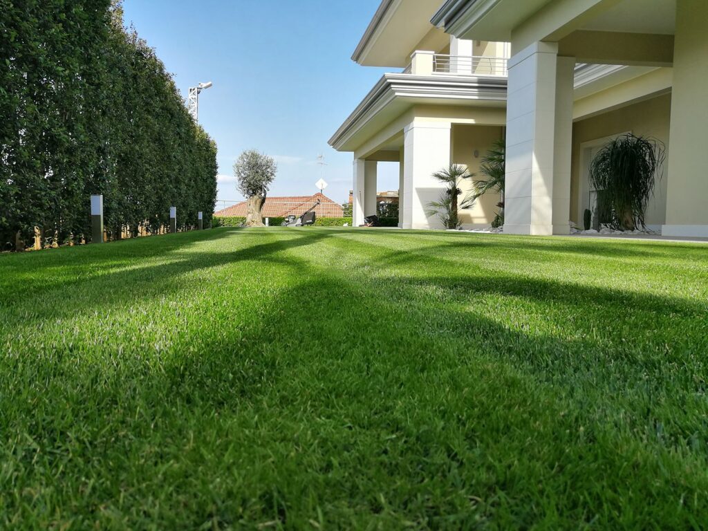 prato seminato con sementi Bottos