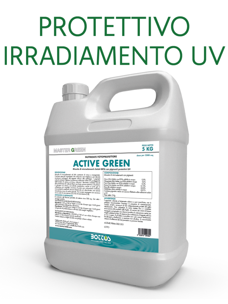 ACTIVE GREEN sacco