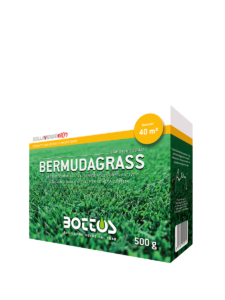 macroterma resistente al caldo e indicata per tappeti erbosi soleggiati.