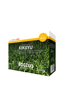 Kikuyu, macroterma vigorosa e resistente al caldo, indicata per tappeti erbosi soleggiati.