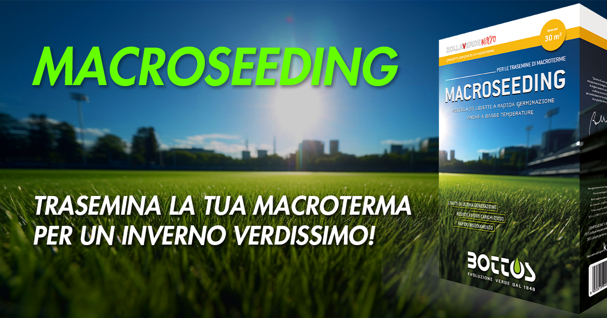 Macroseeding, tecnica dedicata alla semina e alla gestione dei tappeti erbosi di macroterme