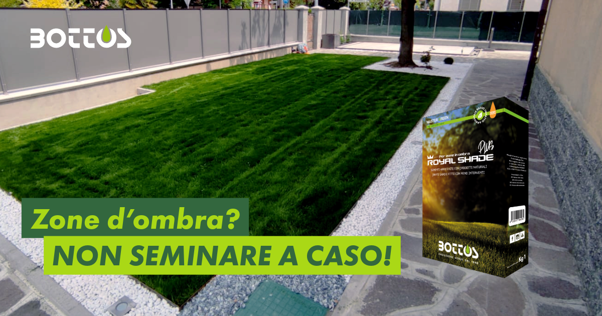 Prato all’ombra realizzato con sementi Royal Shade Plus Bottos per zone a bassa luminosità.