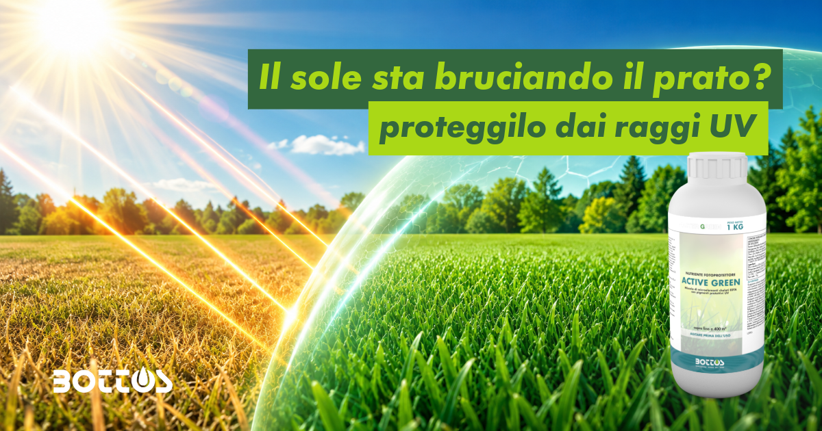 Prato verde protetto dai raggi UV durante l'estate con tecnologia fotoriflettente Active Green