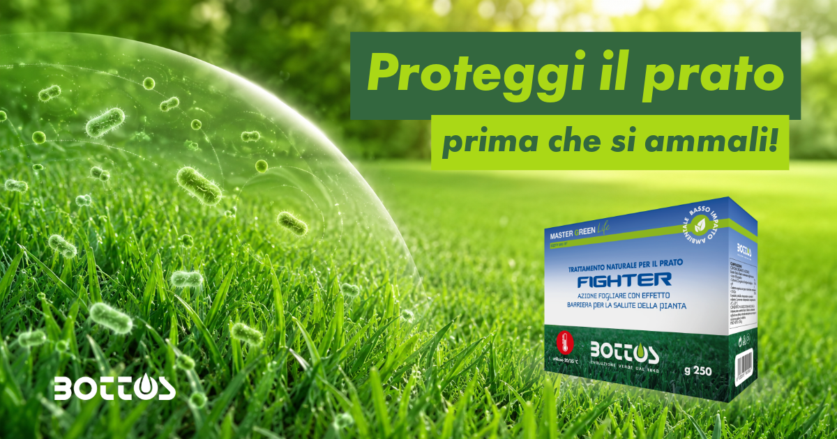 Fighter Bottos protezione preventiva del prato con Bacillus utili contro agenti patogeni