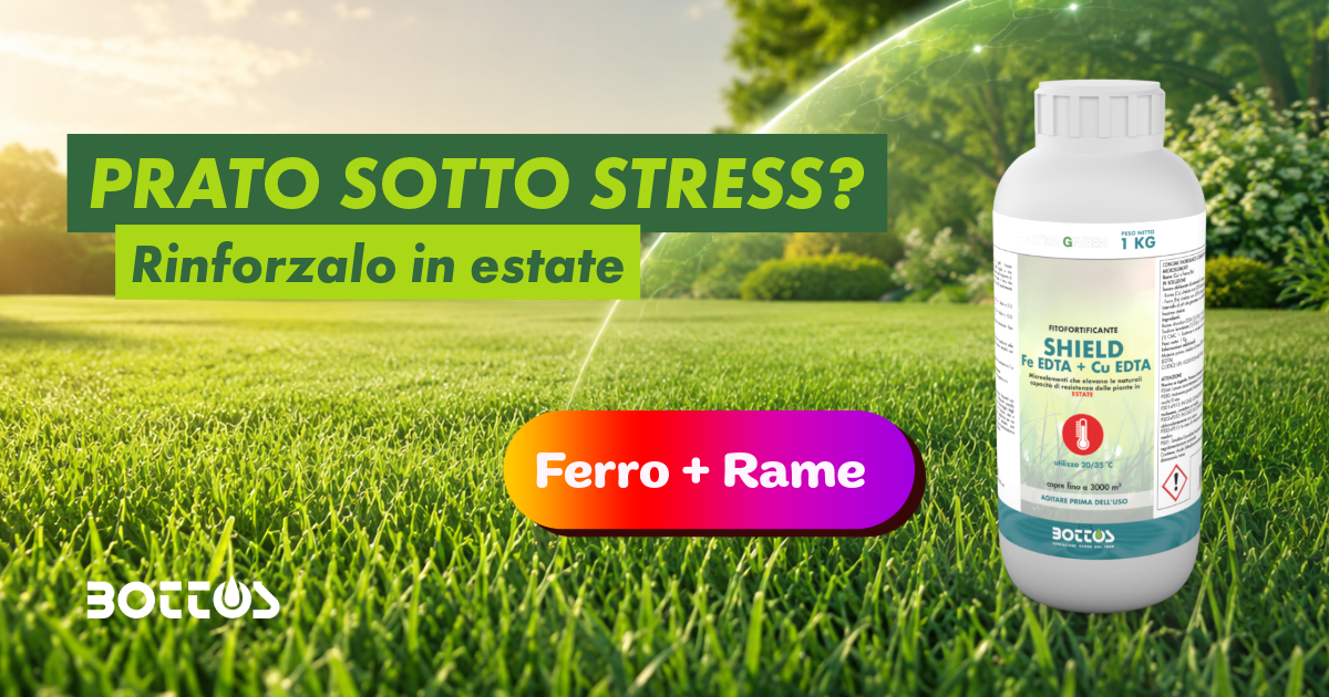 Prato verde estivo rinforzato con SHIELD fitofortificante Bottos