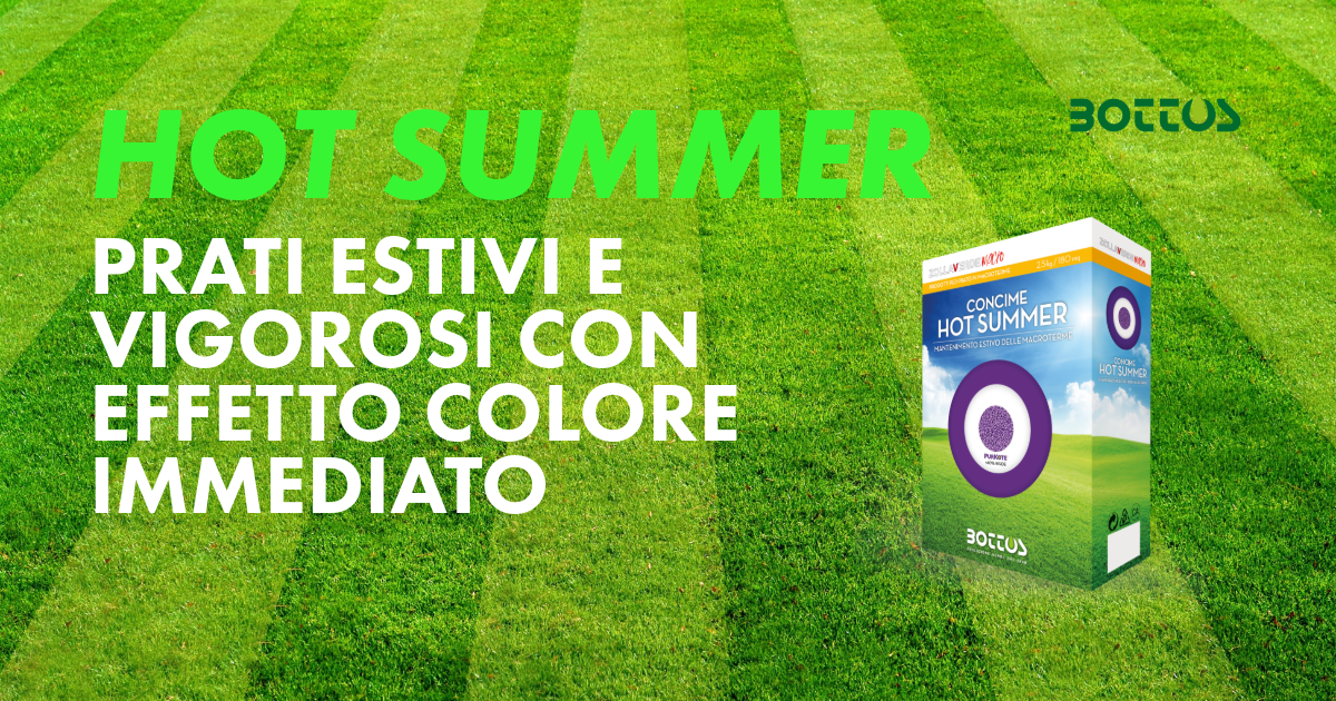 Hot Summer, miscuglio pensato per tappeti erbosi resistenti al caldo e alle condizioni estive.