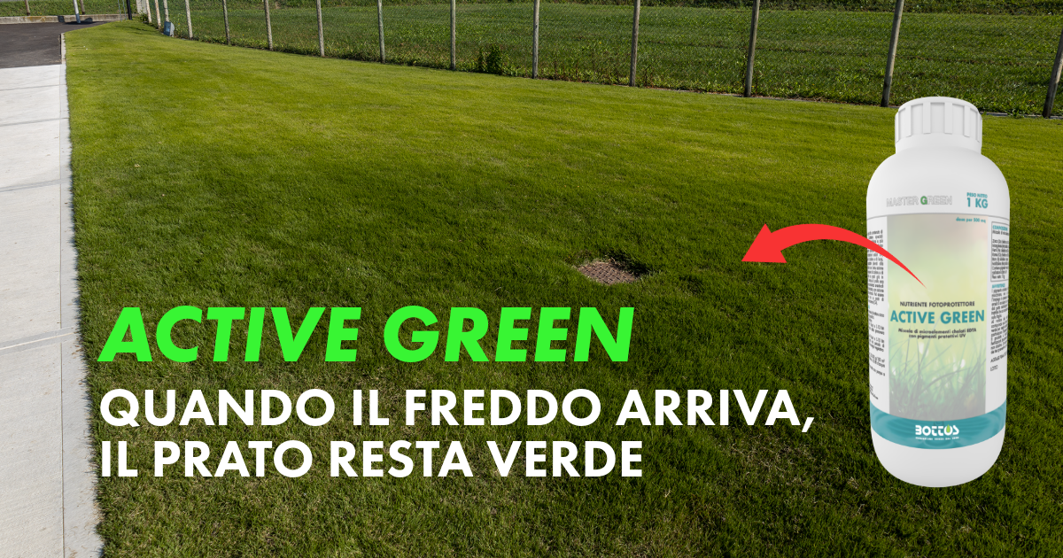 Immagine thumbnail dell’articolo del blog Bottos che parla di Active Green, prodotto pensato per colorare e proteggere il tappeto erboso.