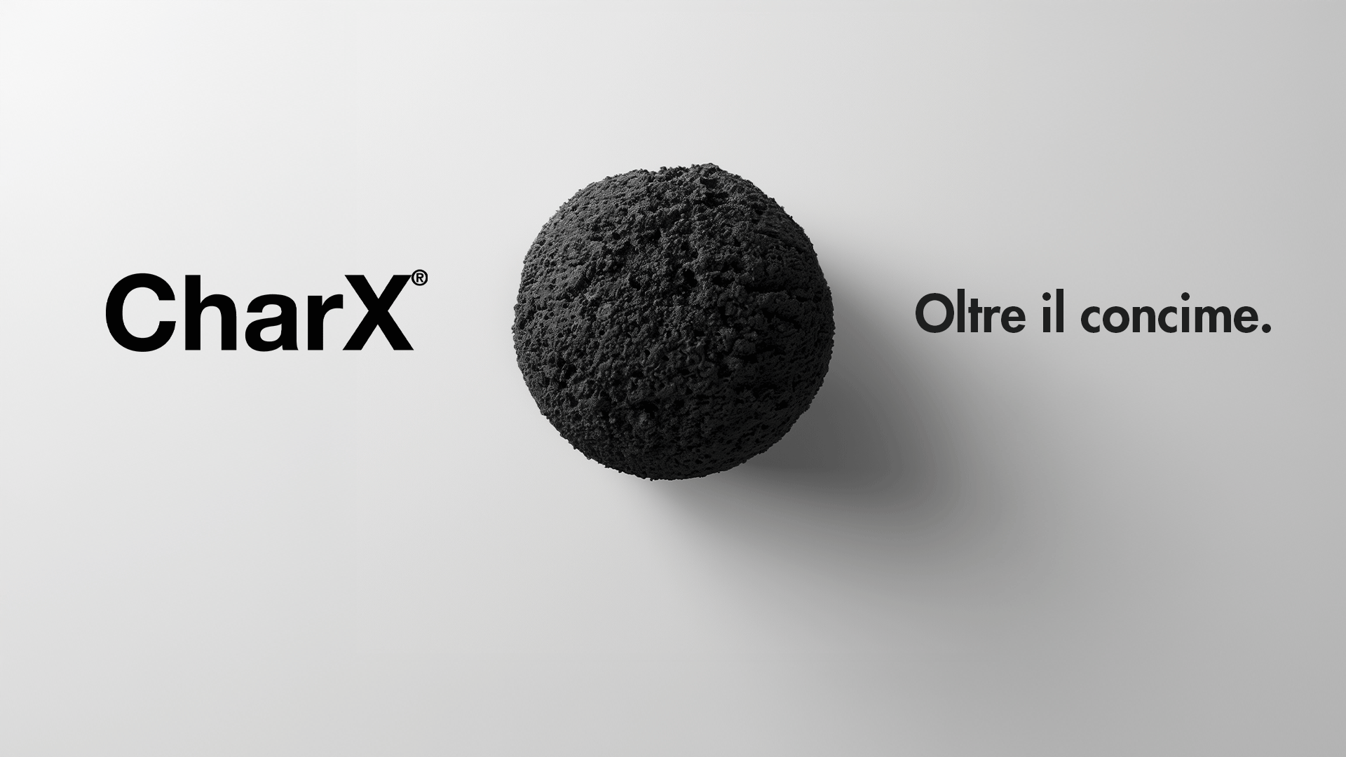 CharX