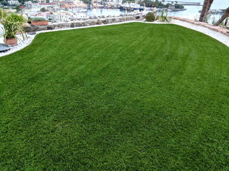 Prato di Royal Blue miscuglio di sementi con Festuca arundinacea
