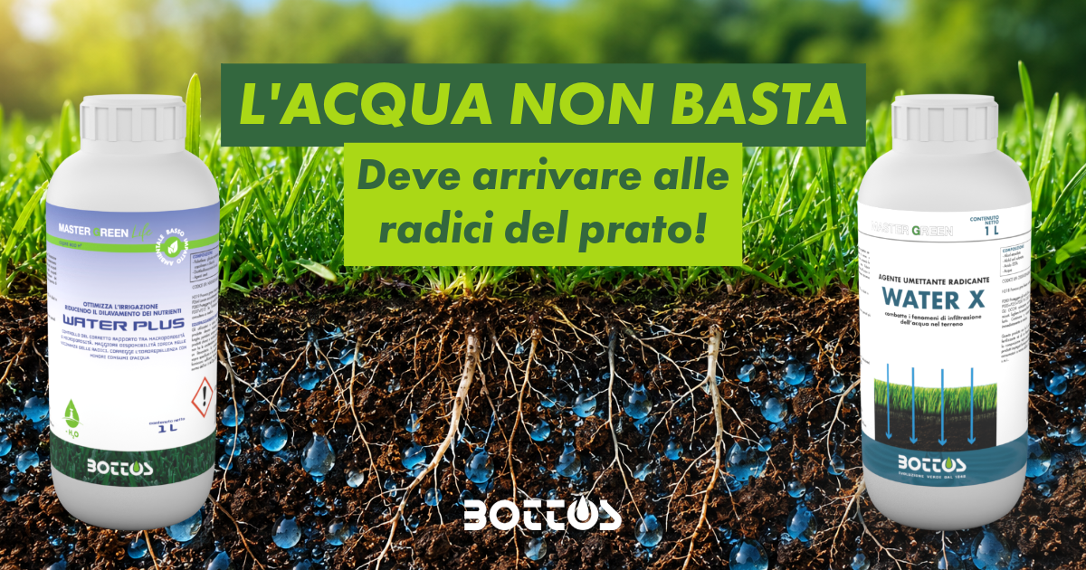 Agenti umettanti per prato WATER PLUS e WATER X Bottos per migliorare infiltrazione dell’acqua e sviluppo radicale