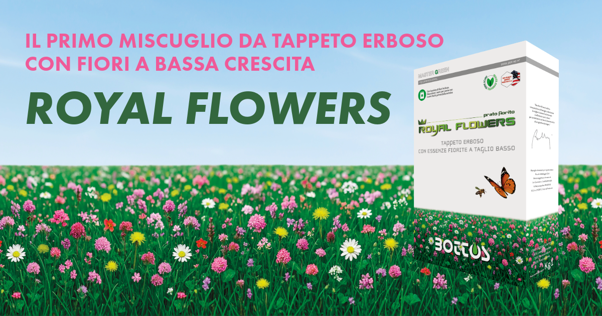 tappeto erboso e fiori a basso taglio