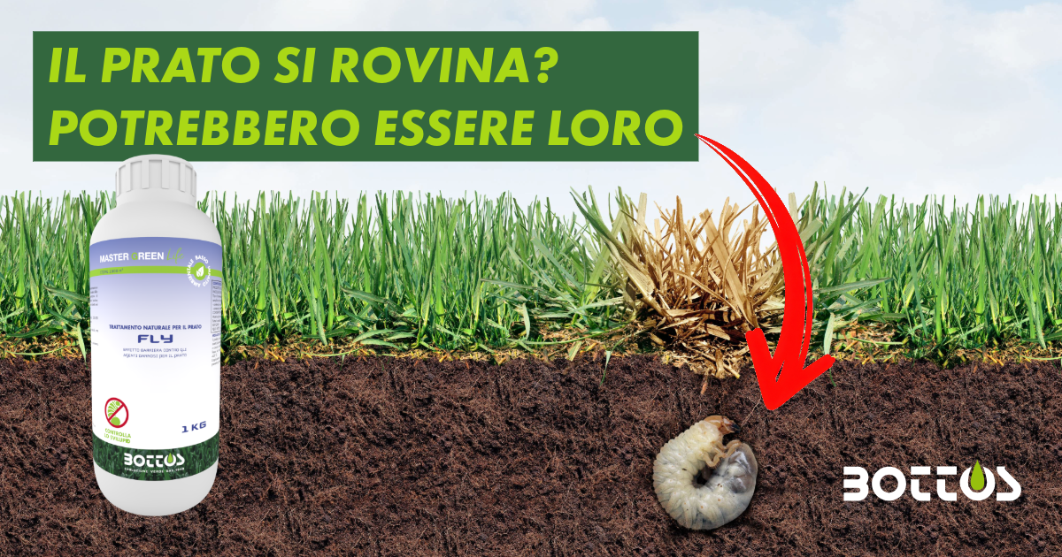 Fly Bottos contro larve e insetti nel prato