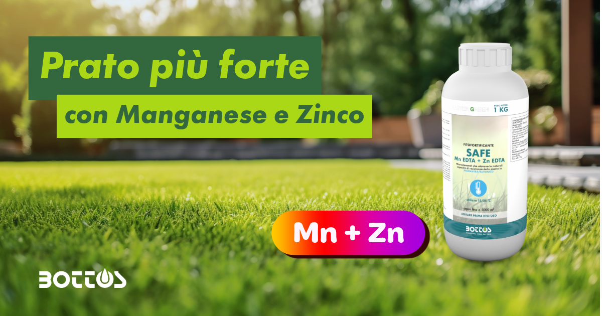 Concime fitofortificante SAFE Bottos con manganese e zinco per tappeto erboso più forte e resistente