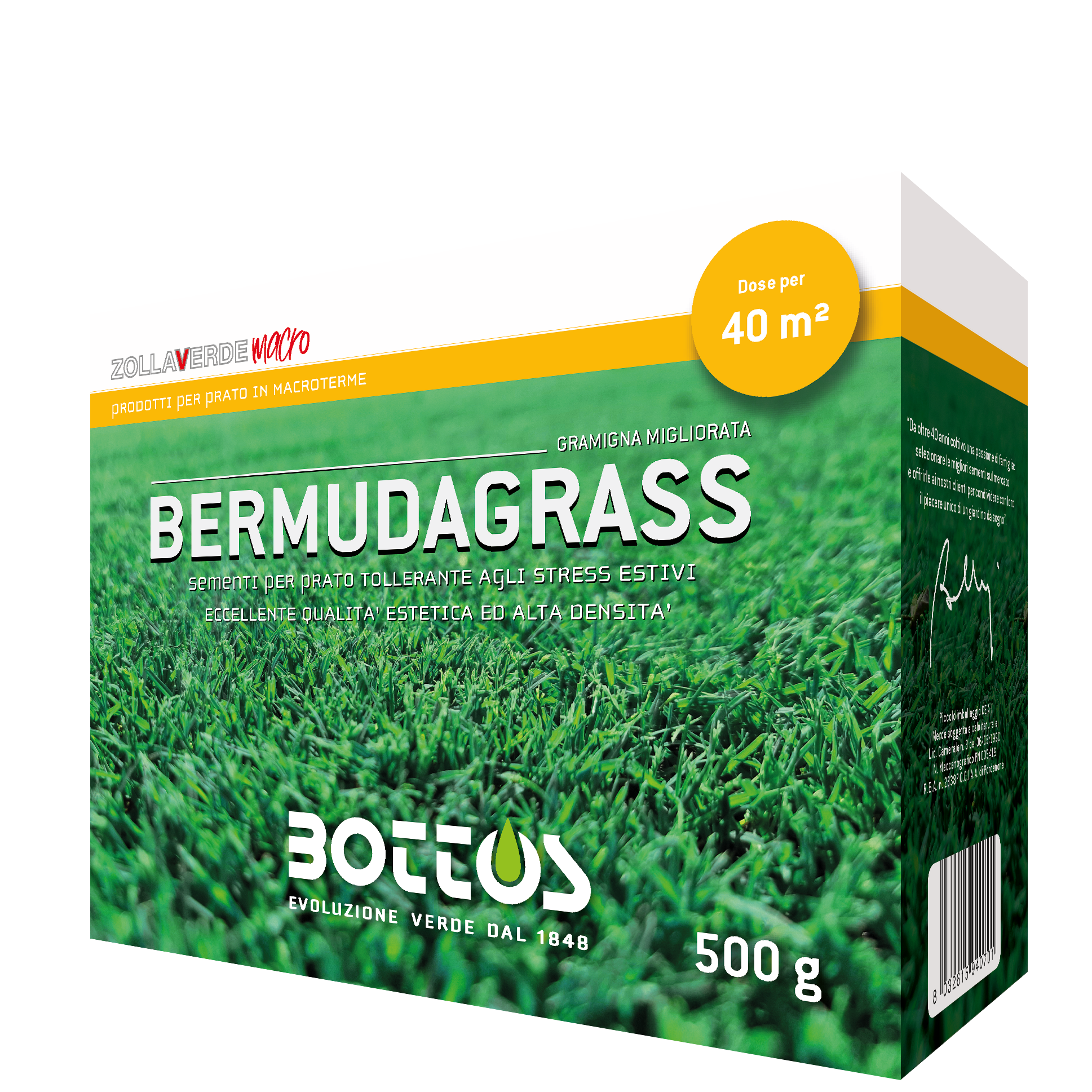 conferzione di Bermudagrass, miscela di Cynodon dactylon migliorata per tappeti erbosi resistenti al caldo e alla siccità