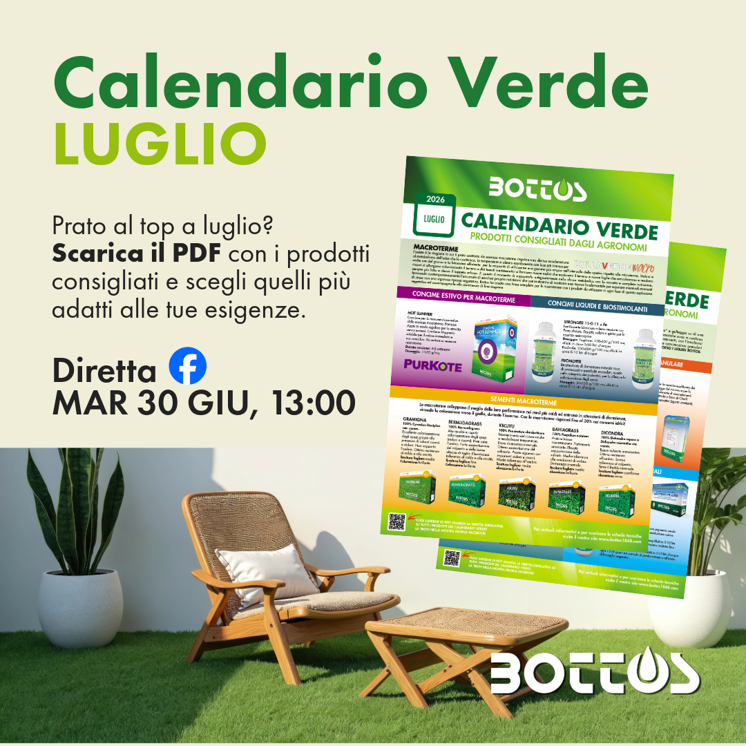 Prato estivo a luglio con tappeto erboso verde in primo piano e sole intenso sullo sfondo, guida Calendario Verde Bottos 2026 per la cura del prato.