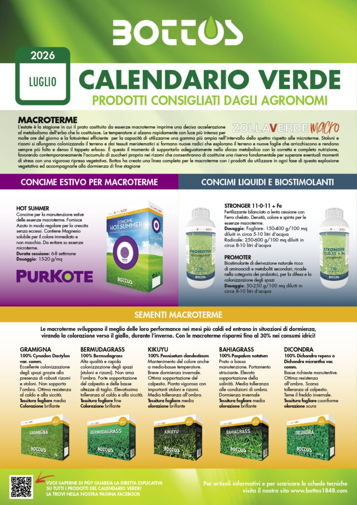 Prato estivo a luglio con tappeto erboso verde in primo piano e sole intenso sullo sfondo, guida Calendario Verde Bottos 2026 per la cura del prato.