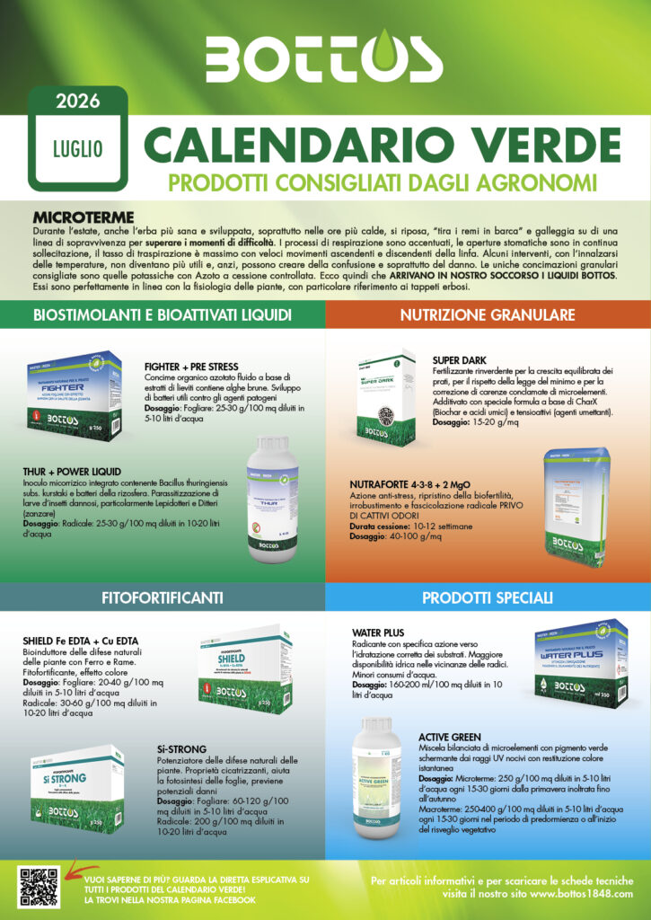 Prato estivo a luglio con tappeto erboso verde in primo piano e sole intenso sullo sfondo, guida Calendario Verde Bottos 2026 per la cura del prato.