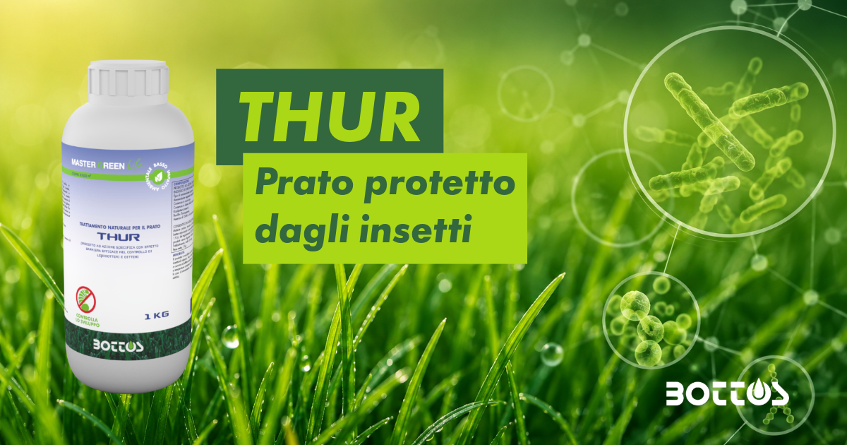 THUR Bottos bioattivato con Bacillus thuringiensis per tappeto erboso