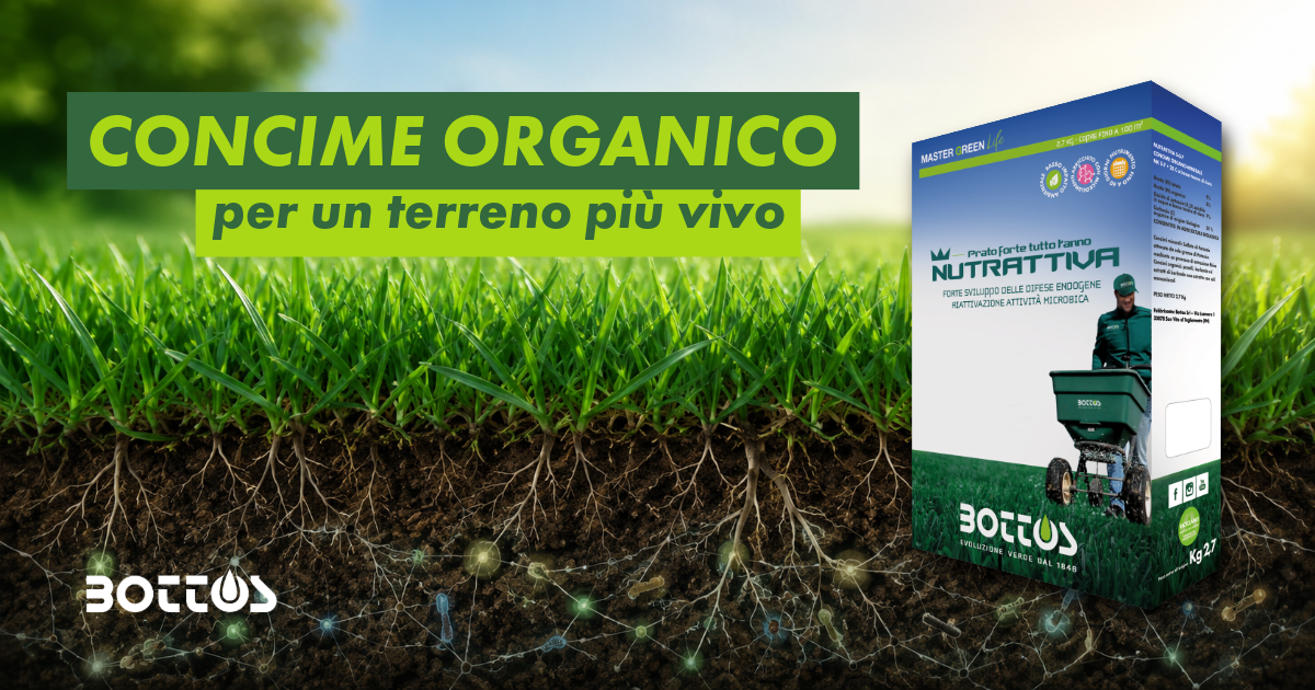 Prato verde con apparato radicale, micorrize e microrganismi utili nel terreno