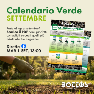 Prato a settembre con tappeto erboso verde in primo piano e sole intenso sullo sfondo, guida Calendario Verde Bottos 2026 per la cura del prato.