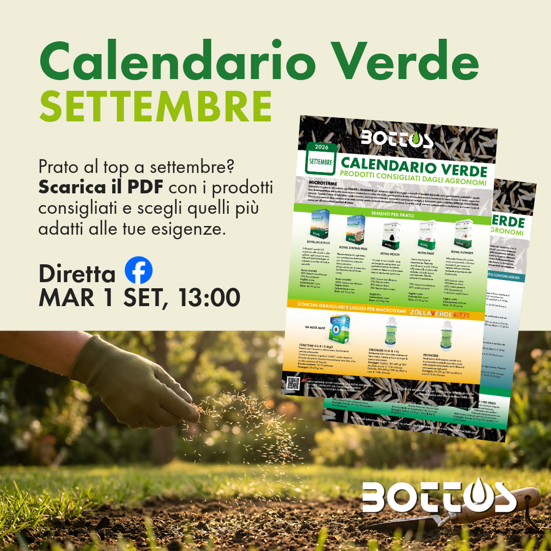 Prato a settembre con tappeto erboso verde in primo piano e sole intenso sullo sfondo, guida Calendario Verde Bottos 2026 per la cura del prato.