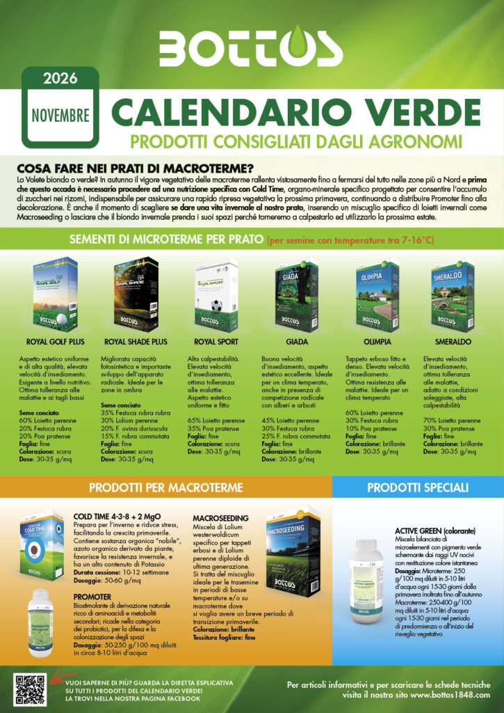 Prato in autunno: cura del tappeto erboso a novembre con il Calendario Verde Bottos