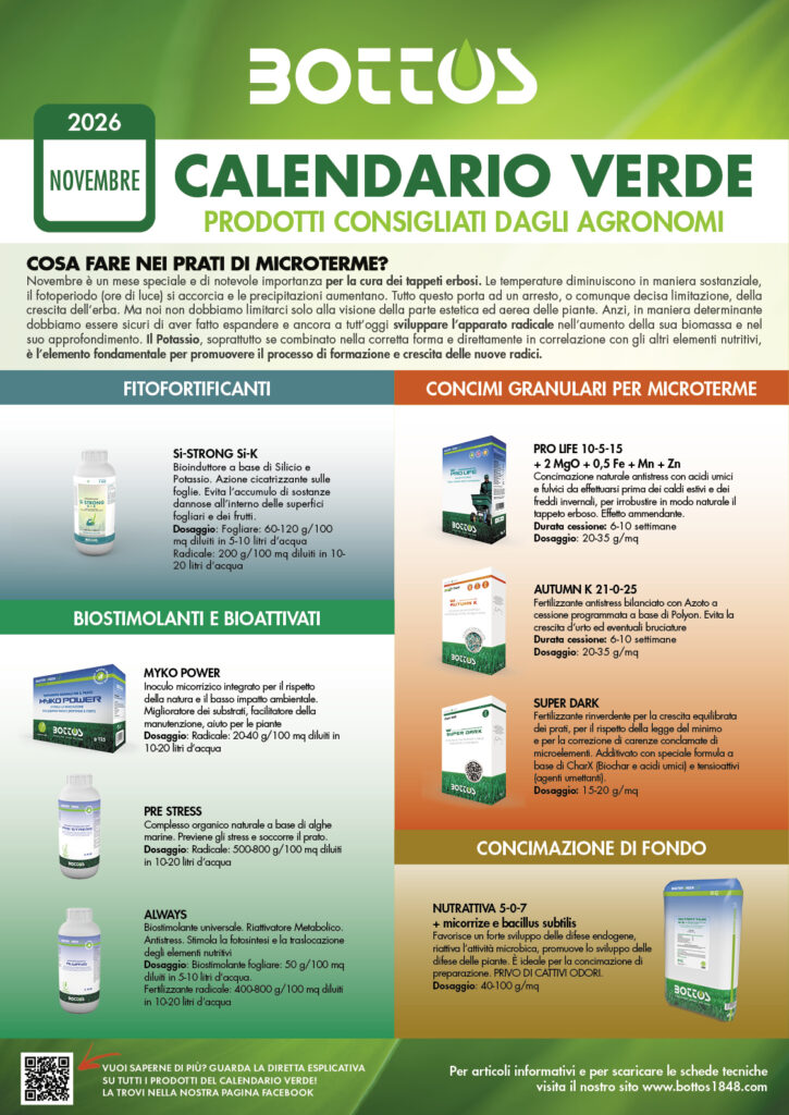 Prato in autunno: cura del tappeto erboso a novembre con il Calendario Verde Bottos